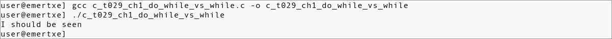 c_t029_ch1_do_while_vs_while