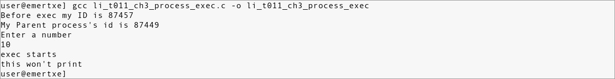 li_t011_1_ch3_process_exec Linux Internals Programming Examples - 10